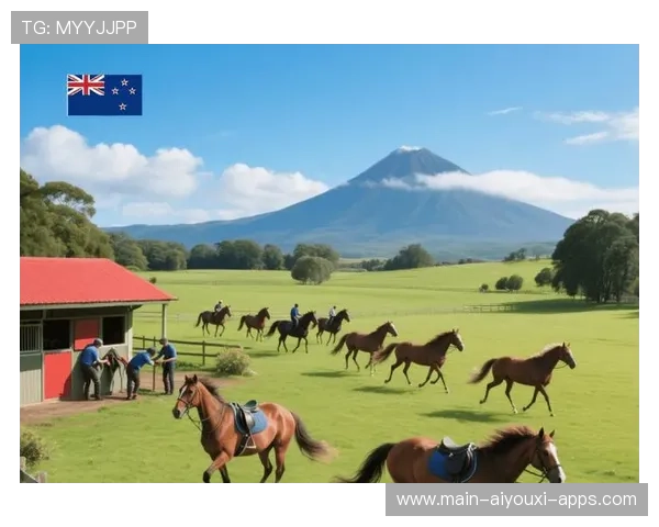 新西兰保持稳定发挥,稳居四强,新西兰局势 新西兰保持稳定发挥,稳居四强,新西兰局势